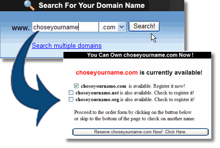 Search for a Domain Name